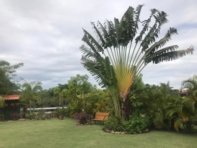 3 Bedroom Home for rent in Hacienda Pacífica, San Carlos - image 8