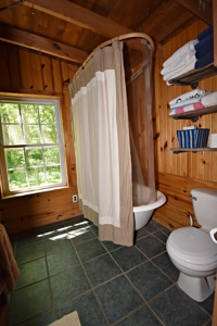 Off Grid Buffalo River Front Cabin & 18.66 Acres $345,900 - image 15