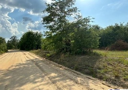 Rural Acreage, Marlboro County, South Carolina - image 1
