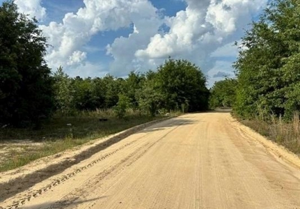Rural Acreage, Marlboro County, South Carolina - image 5