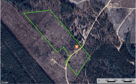 Rural Acreage, Marlboro County, South Carolina - image 2