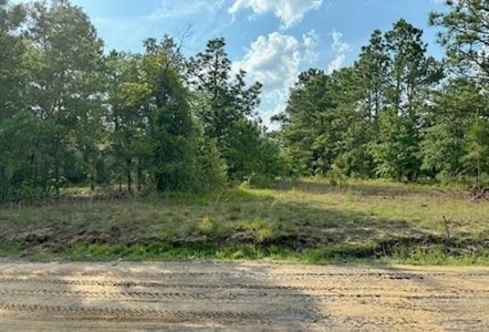 Rural Acreage, Marlboro County, South Carolina - image 3