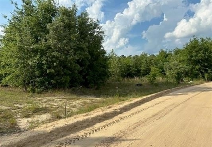 Rural Acreage, Marlboro County, South Carolina - image 4