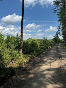 68.05 Acres Of Land For Sell In Carroll County, Va - image 3