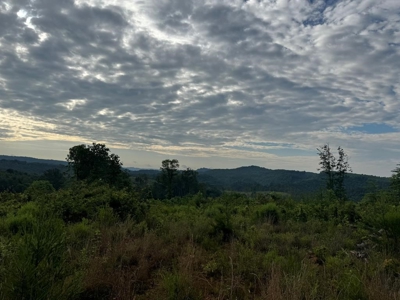 68.05 Acres Of Land For Sell In Carroll County, Va - image 4