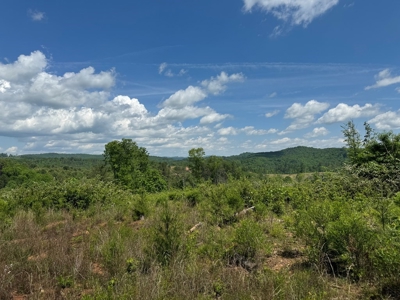 68.05 Acres Of Land For Sell In Carroll County, Va - image 2