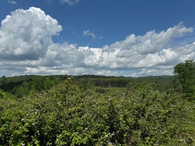 68.05 Acres Of Land For Sell In Carroll County, Va - image 1