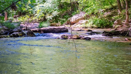 +/- 21.5 Acres in Burke County NC! - image 6