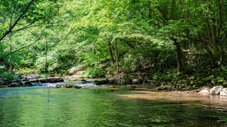 +/- 21.5 Acres in Burke County NC! - image 8