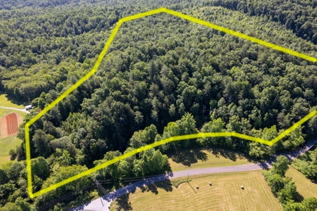 +/- 21.5 Acres in Burke County NC! - image 5