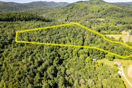 +/- 21.5 Acres in Burke County NC! - image 4