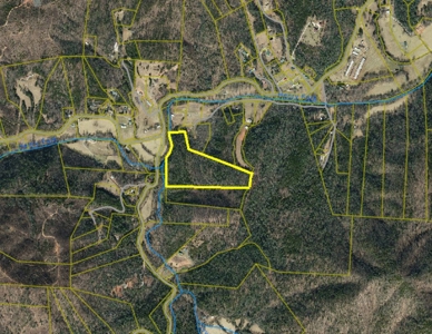 +/- 21.5 Acres in Burke County NC! - image 1