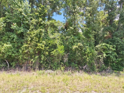 Prime Commercial Property On Us Hwy 19 In Chiefland, Florida - image 6