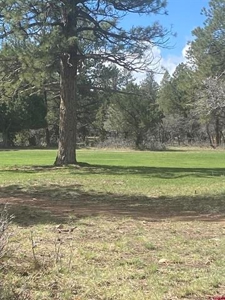 Land On Golf Course For Sale In Ridgeway, Colorado - image 1