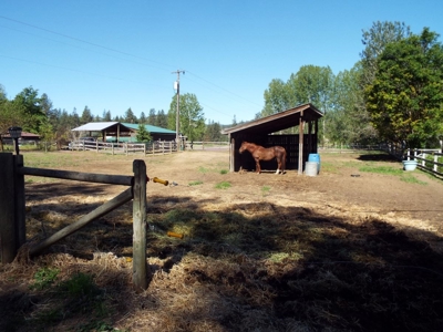 3383 Hwy 25 N Lot #23 - image 6