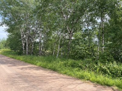 Newly Updated Country Home on 10 Acres For Sale in Askov MN - image 11