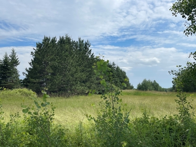Newly Updated Country Home on 10 Acres For Sale in Askov MN - image 3