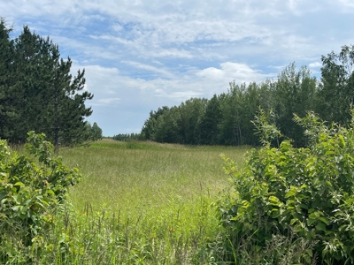 Newly Updated Country Home on 10 Acres For Sale in Askov MN - image 2