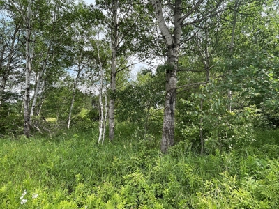 Newly Updated Country Home on 10 Acres For Sale in Askov MN - image 4