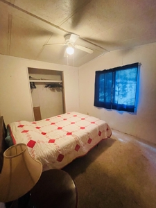 Perfect Hunting/Fishing Camp Or Permanant Residence. - image 8