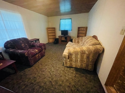 Perfect Hunting/Fishing Camp Or Permanant Residence. - image 19