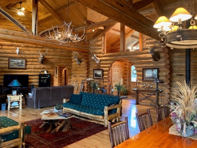 Exquisite Log Home Retreat Log Hill, Ridgway, Colorado - image 11