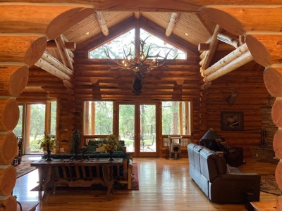 Exquisite Log Home Retreat Log Hill, Ridgway, Colorado - image 6