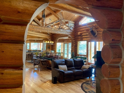 Exquisite Log Home Retreat Log Hill, Ridgway, Colorado - image 15