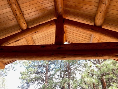 Exquisite Log Home Retreat Log Hill, Ridgway, Colorado - image 4