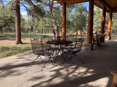Exquisite Log Home Retreat Log Hill, Ridgway, Colorado - image 23