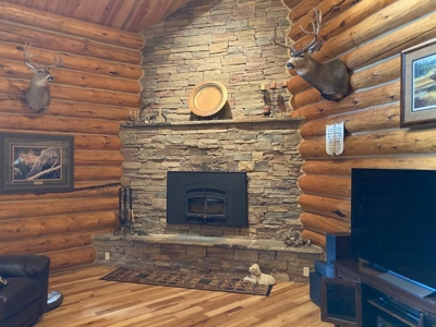 Exquisite Log Home Retreat Log Hill, Ridgway, Colorado - image 14