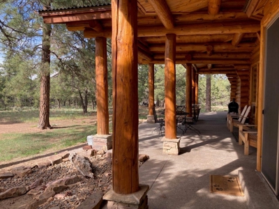 Exquisite Log Home Retreat Log Hill, Ridgway, Colorado - image 25