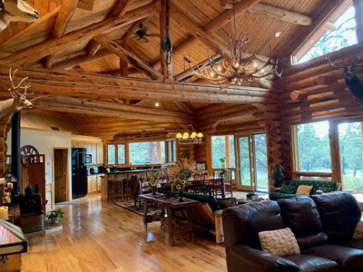 Exquisite Log Home Retreat Log Hill, Ridgway, Colorado - image 7
