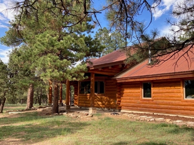 Exquisite Log Home Retreat Log Hill, Ridgway, Colorado - image 26