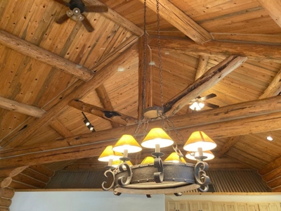 Exquisite Log Home Retreat Log Hill, Ridgway, Colorado - image 12