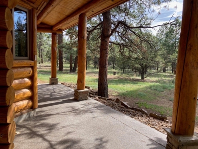 Exquisite Log Home Retreat Log Hill, Ridgway, Colorado - image 24