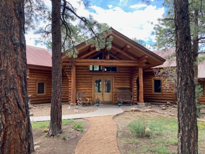 Exquisite Log Home Retreat Log Hill, Ridgway, Colorado - image 3