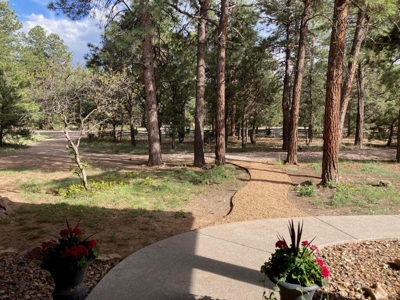 Exquisite Log Home Retreat Log Hill, Ridgway, Colorado - image 5