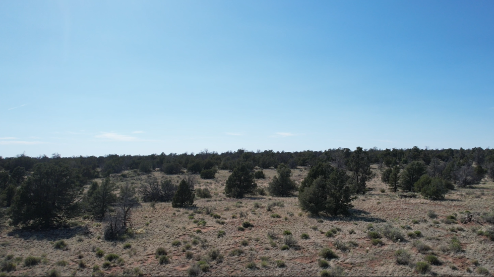 Picture of Off-Grid Urban Project? Rain Collection Tech, Moringa & More