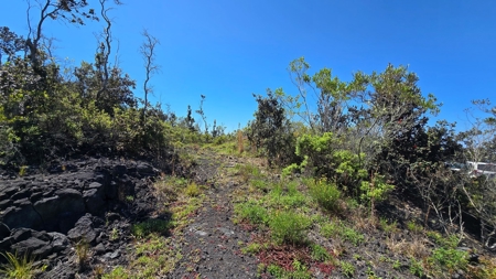 A Frame and Green house 2 Acres - Panoramic Ocean Views HI - image 25