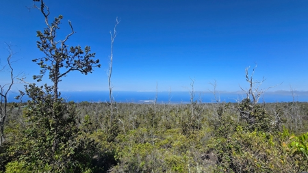 A Frame and Green house 2 Acres - Panoramic Ocean Views HI - image 5