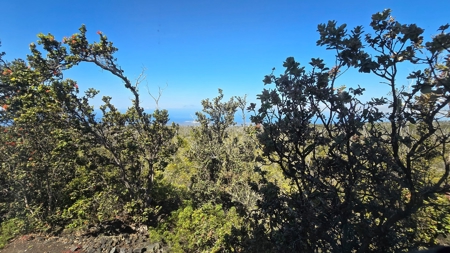 A Frame and Green house 2 Acres - Panoramic Ocean Views HI - image 13