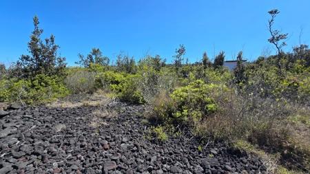 A Frame and Green house 2 Acres - Panoramic Ocean Views HI - image 23