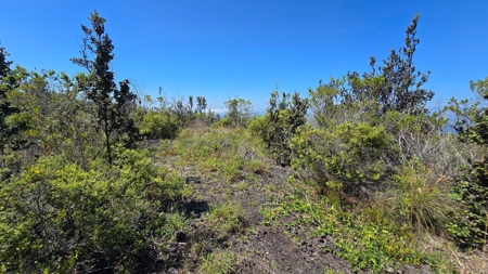 A Frame and Green house 2 Acres - Panoramic Ocean Views HI - image 24