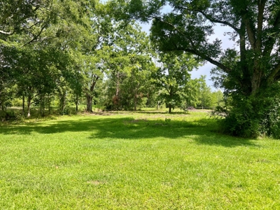 Country Home & Land in North Florida - Graceville FL - image 41