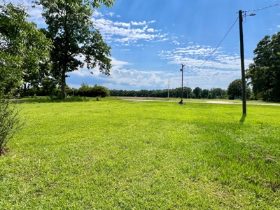 Country Home & Land in North Florida - Graceville FL - image 9