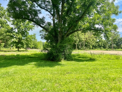 Country Home & Land in North Florida - Graceville FL - image 46