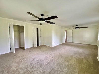 Country Home & Land in North Florida - Graceville FL - image 25