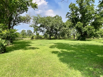 Country Home & Land in North Florida - Graceville FL - image 8