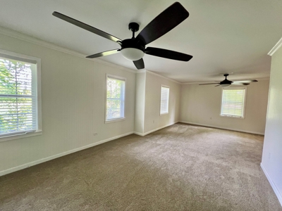 Country Home & Land in North Florida - Graceville FL - image 24